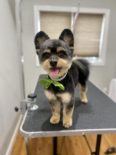 Messenger_creation_23c2c0a6-de1e-4e41-b6ea-809b8c02a2e2