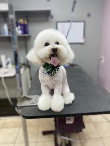 Messenger_creation_8a2f5541-68ec-4382-aec1-e4b01f8f7107