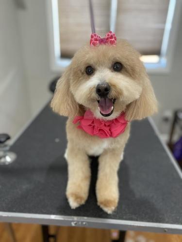 Messenger_creation_c92fd83b-837c-4e58-a053-a8ece5148cba